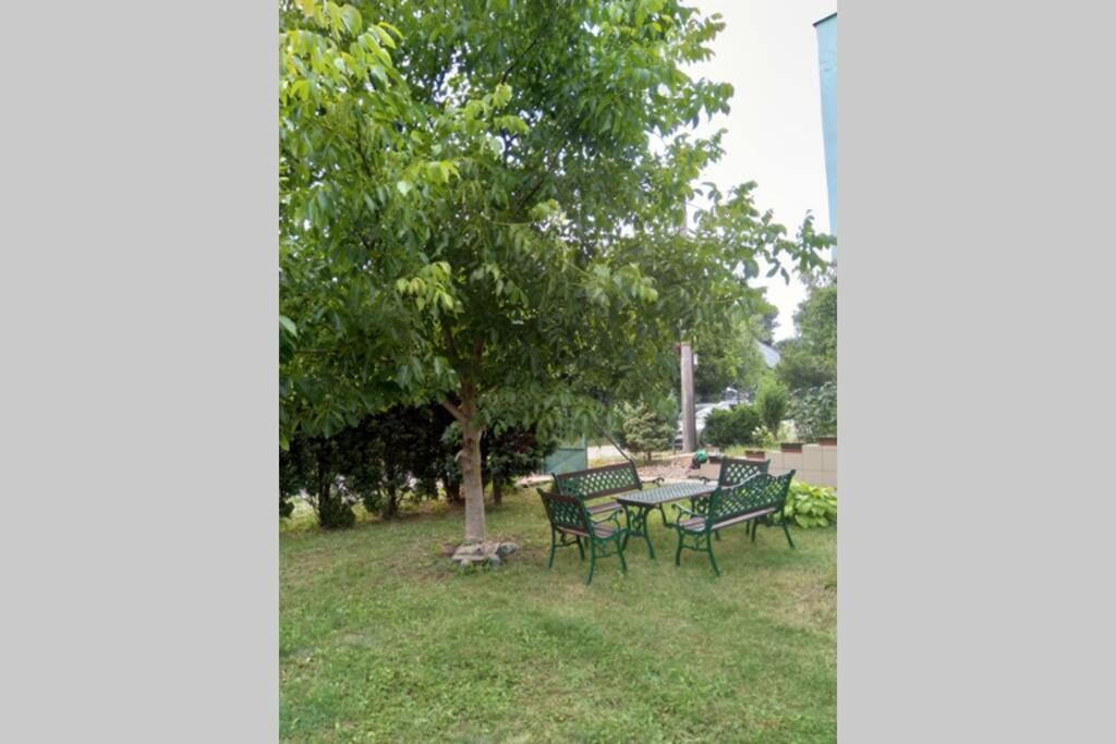 Hannah - Relax Dom Pod Orechom I4 Travnica Exterior photo